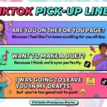 TikTok Pick Up Lines